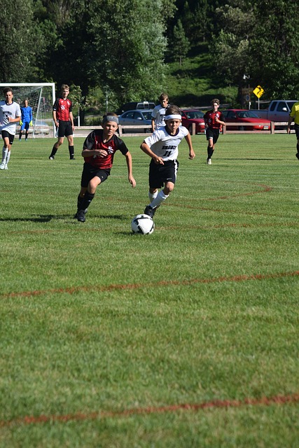 高层决策 高层决策